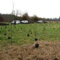 The Role of County Weed Control Board in Managing Invasive Species in Franklin County, WA